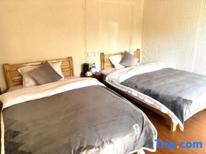 Standard Double room with courtyard view