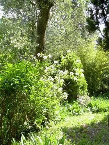 In centro - Mutino