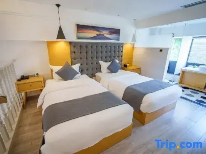 Standard Twin Duplex room