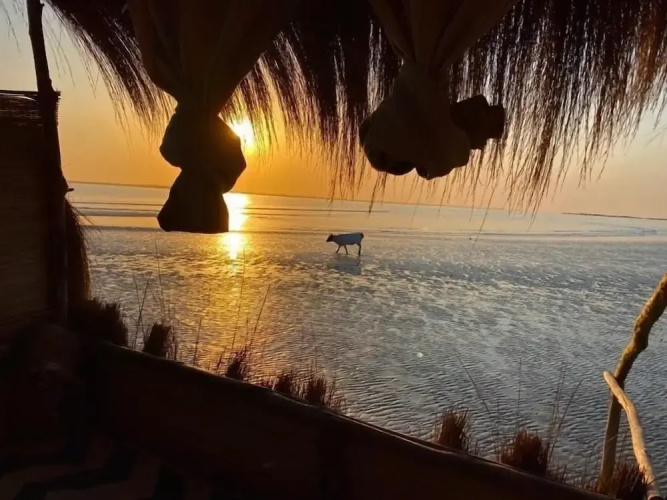 Dakosta Eco Retreat