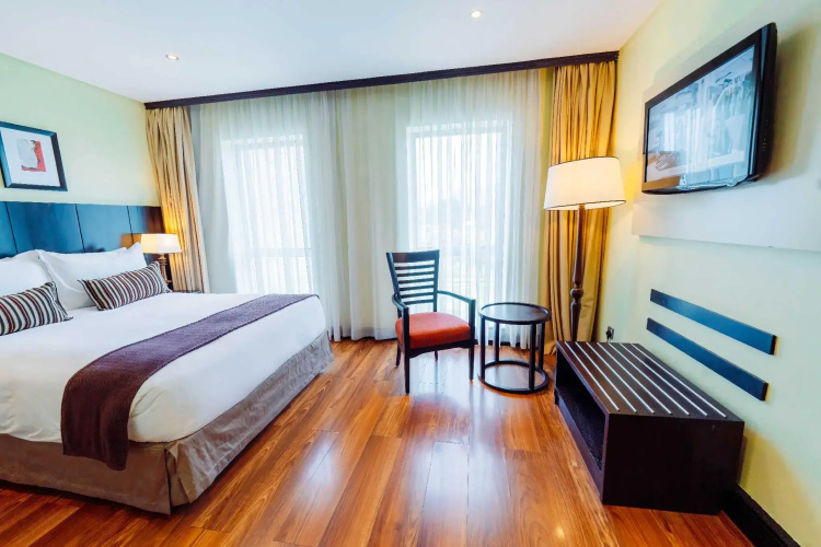 Mount Meru Hotel