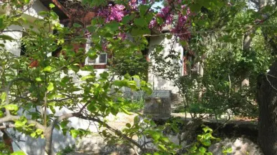 Ayvalik Dostlar Pansiyon