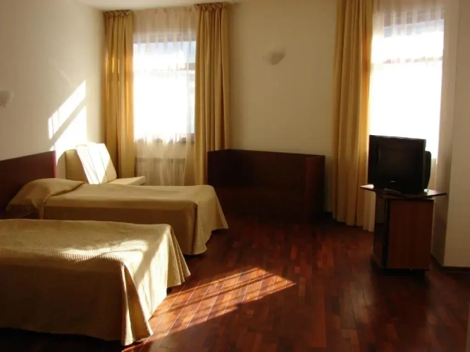 Standard Twin room with balcony and with mountain view