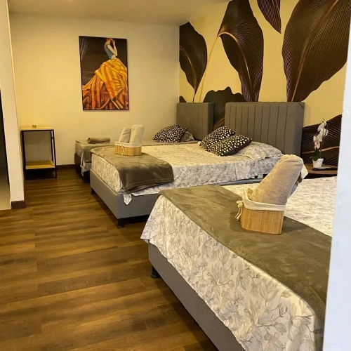 Premier Suite