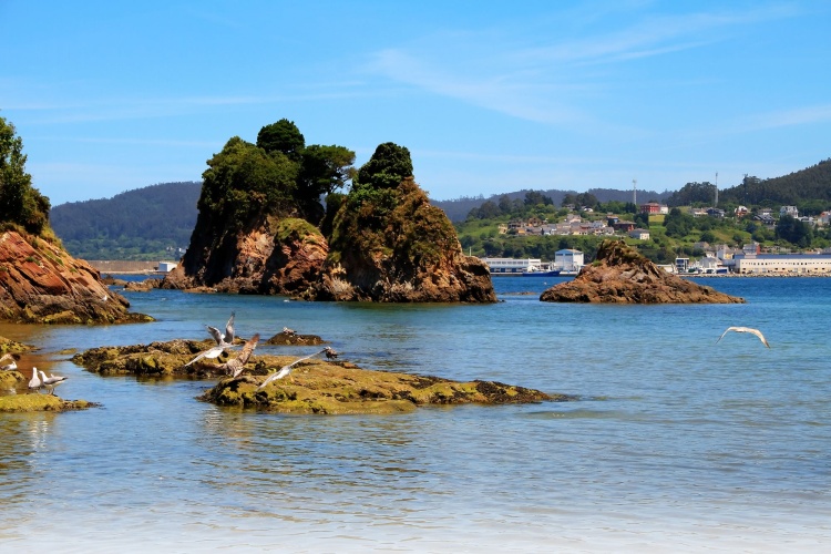 Apartamentos Duerming Sea View Viveiro photo 13