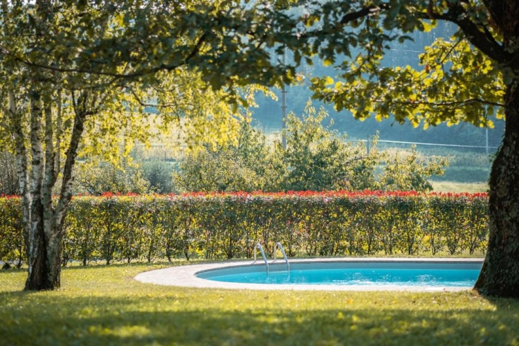 Standard Double room with garden view