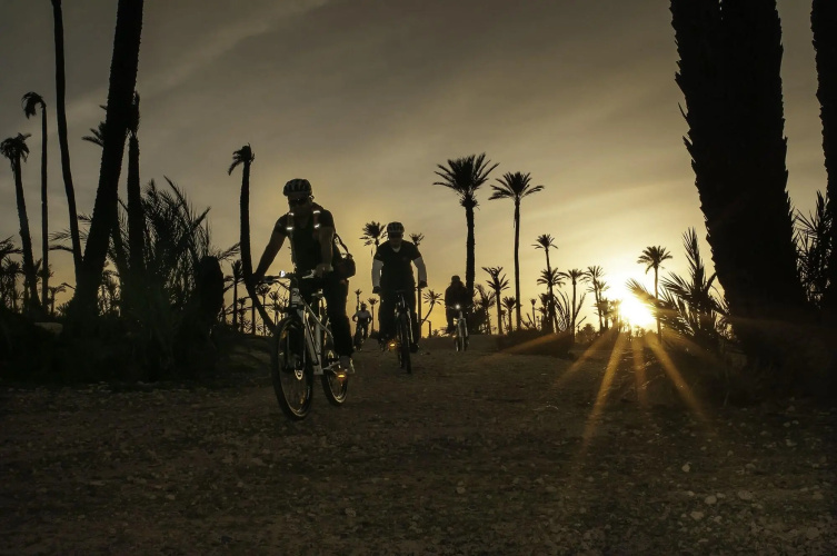 Fairmont Royal Palm Marrakech photo 29