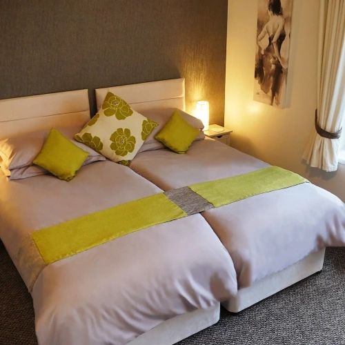 Standard Twin room with mountain view