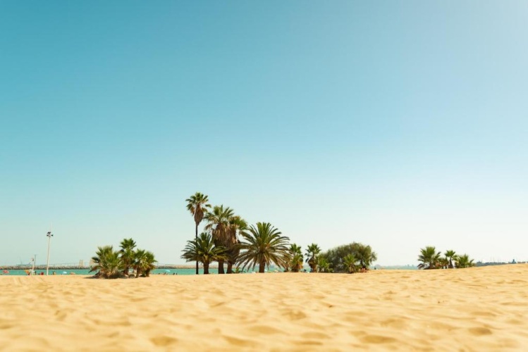 Beach