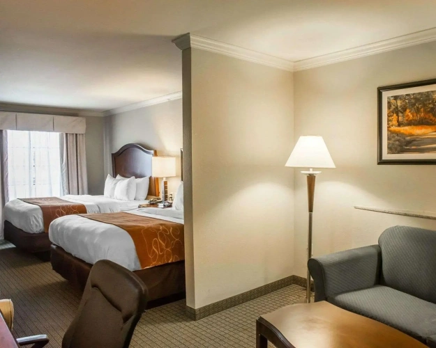 Quadruple Suite