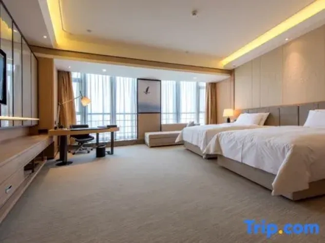 Standard Twin room with view