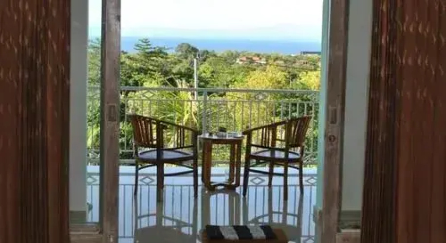 Bali Zona Greens