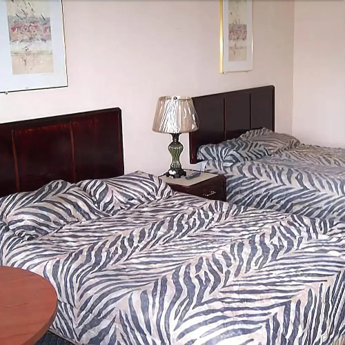 Value Inn McKenzie
