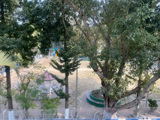 Deluxe Double room with park view