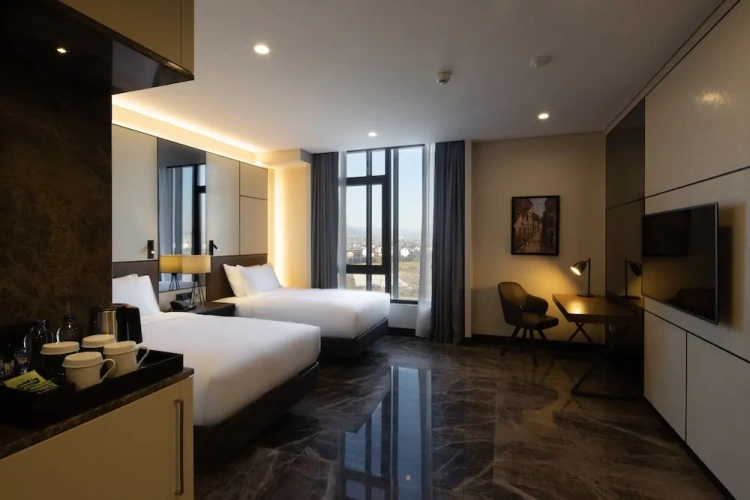 Superior Twin room with city view