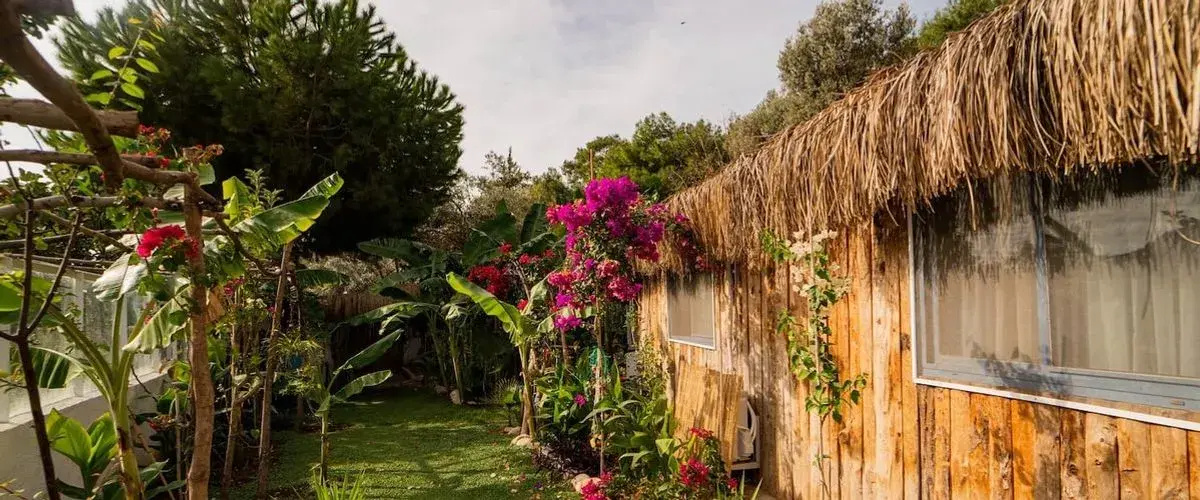 Begonvilla Bungalows