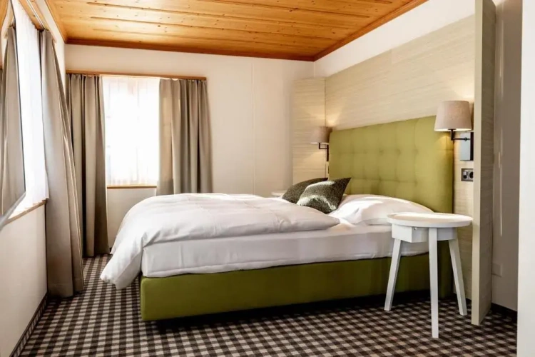 Standard Double room with mountain view