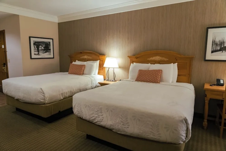 Business Double Basement room