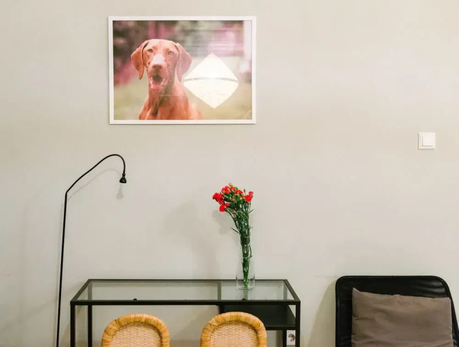 Dfive Apartments - Vizsla