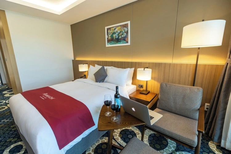 Standard Double room with mountain view
