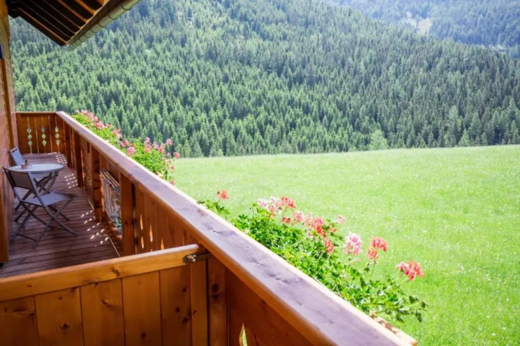 1 Bedroom Apartment with balcony