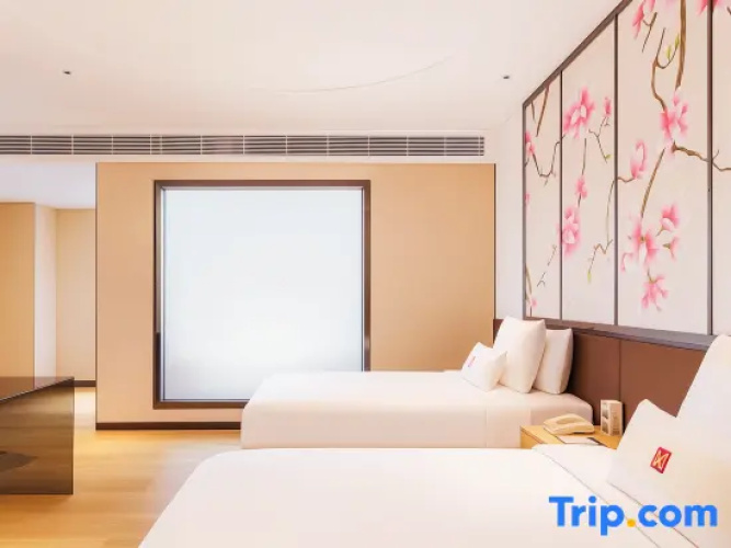 Triple Family Suite