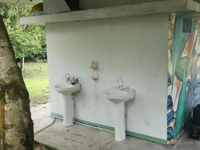 Glamping Amazonas