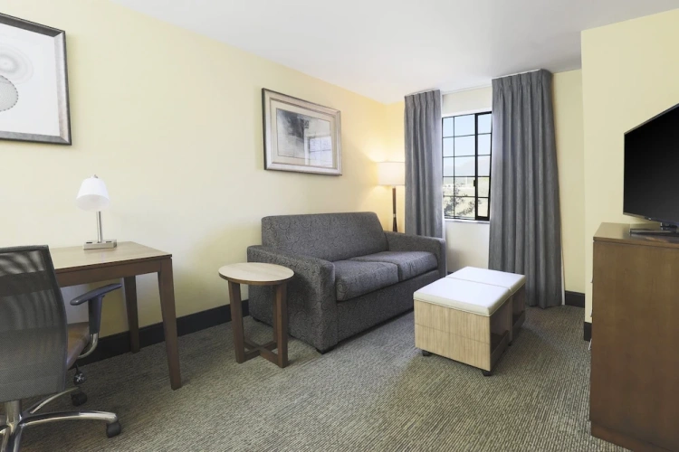 1 Bedroom Suite