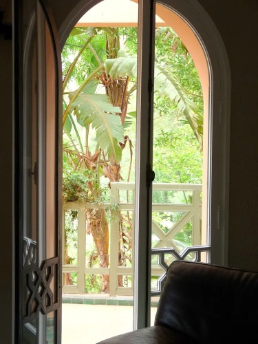 Premium Double Suite with pool view