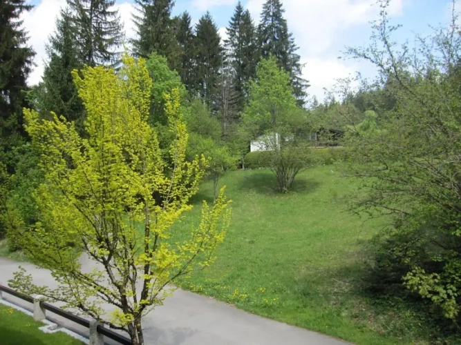 1 Bedroom Superior Apartment with garden view