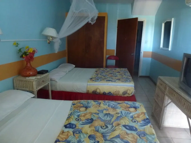 Standard Double room with balcony and with ocean view