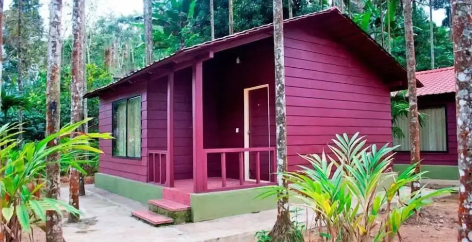 Lazo Areca Resort