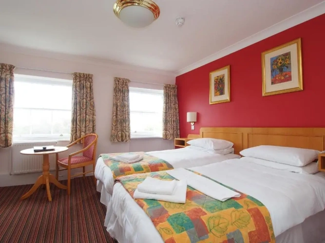 Standard Twin room with garden view
