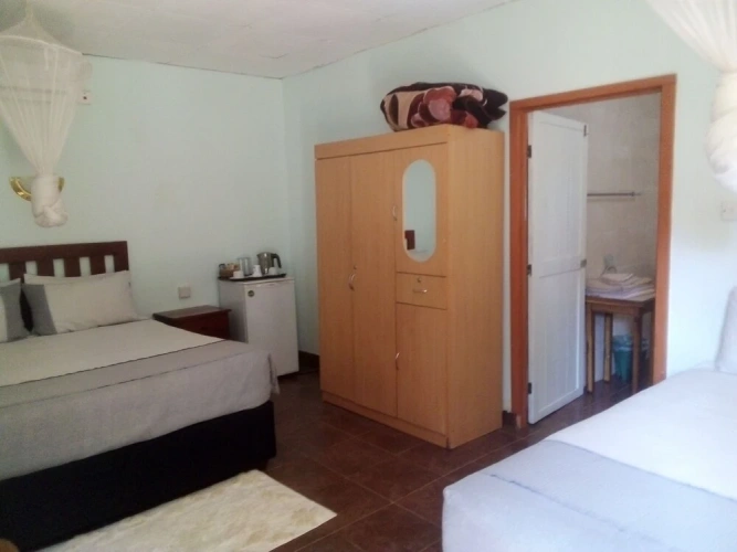 Standard Twin room with view