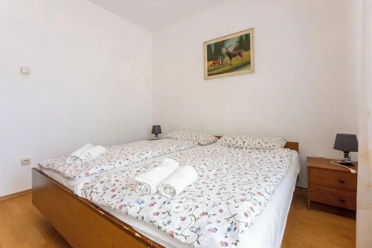 Apartment Vazmica