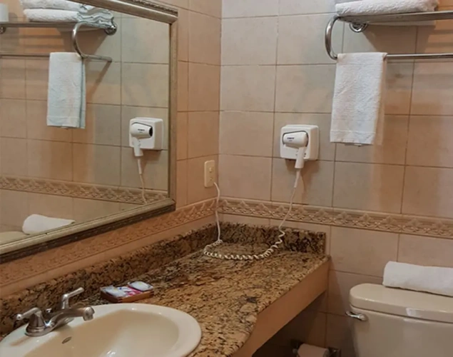 1 Bedroom Premium Suite