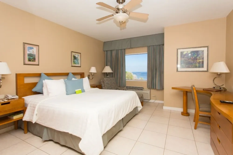 1 Bedroom Superior Twin room