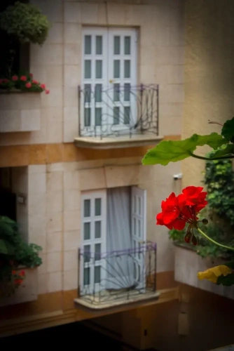 Deluxe room with balcony