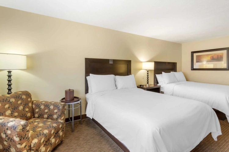 Quadruple Suite