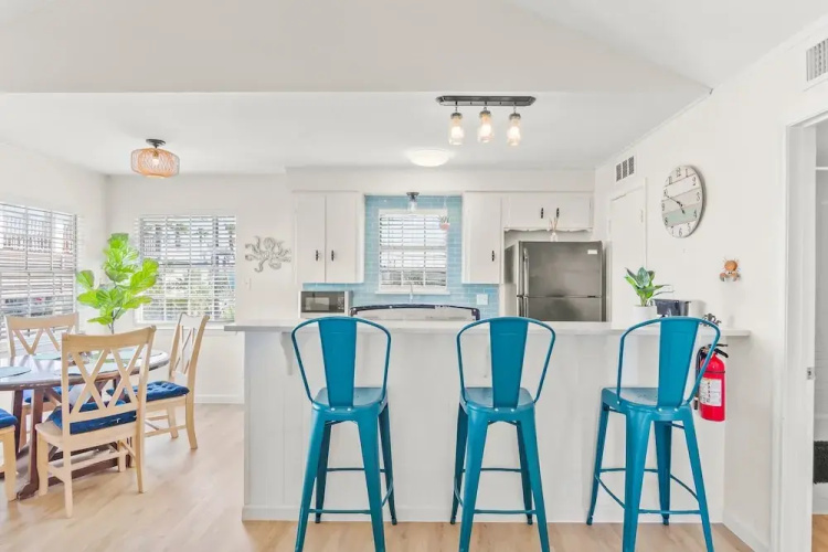 Tranquil Turquoise: Pet Friendly