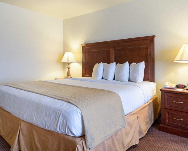 Standard room