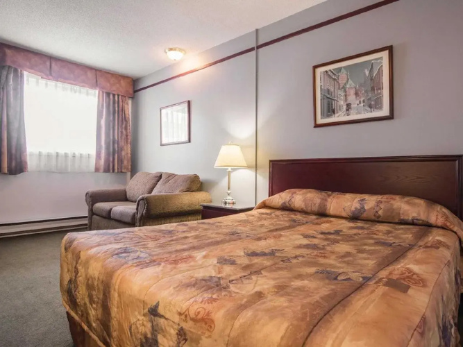 Repotel Levis