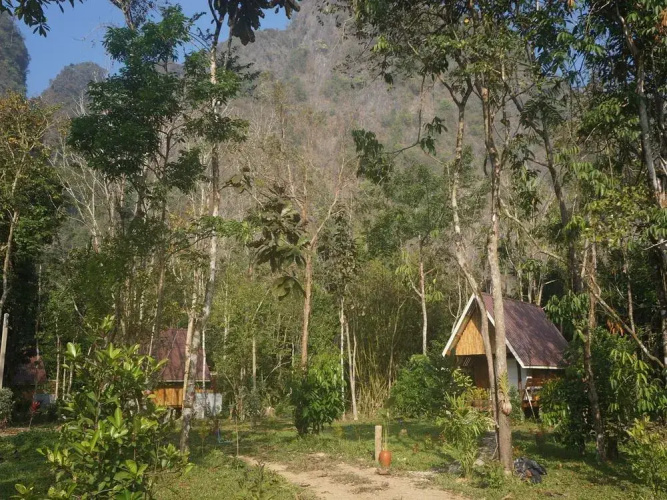Khao Sok Jungle Resort