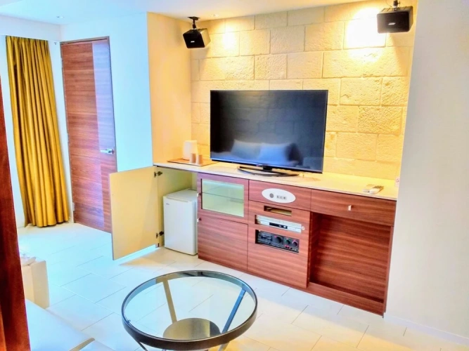Standard Double room with city view