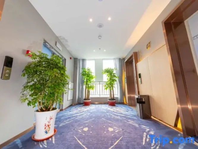 Hotel rooms