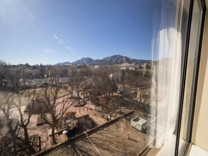 Standard Double room with garden view