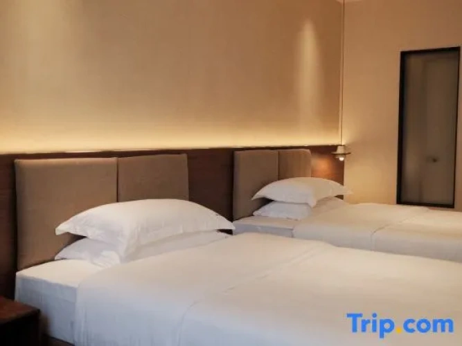 Standard Twin room with garden view