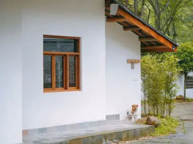 Qingting Homestay