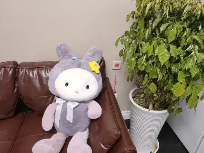 Shanghai Muse Apartment