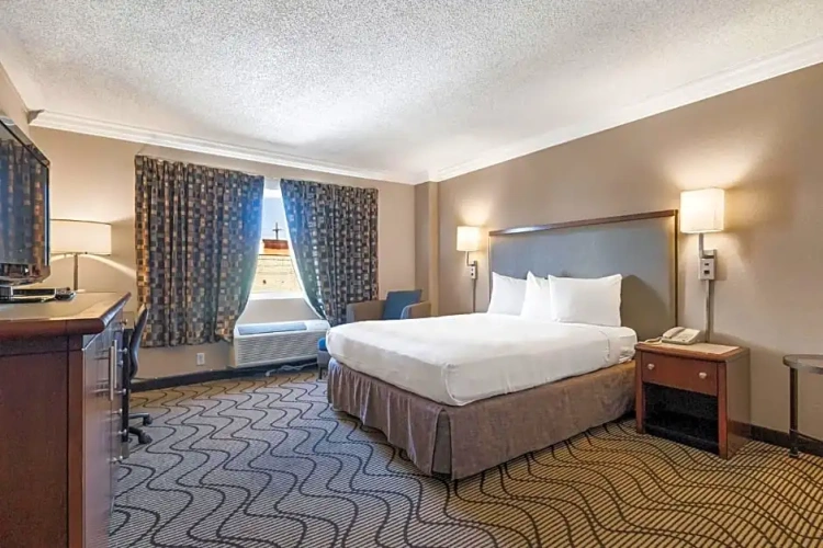 Single Suite